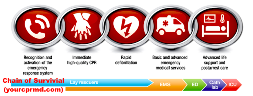 CPR-Classes-in-Jamul.png